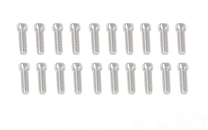 RC4WD Scale Hex Head Bolts (M2x6mm) (Silver)
