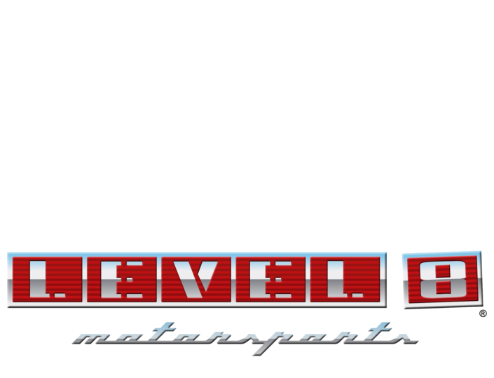 Level 8